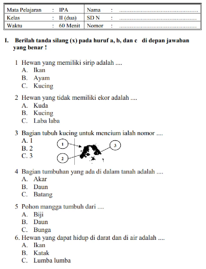 Terbukti 7 Contoh Soal Tematik Kelas 2 SD Semester 1 yang Bikin Anak Sukses di Tahun 2026