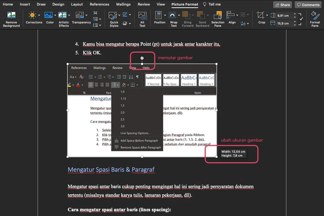 Ternyata Micosoft Word Bisa Ubah Versi Gambar Jadi Lebih Tajam, Ini 5 Trik yang Jarang Diketahui